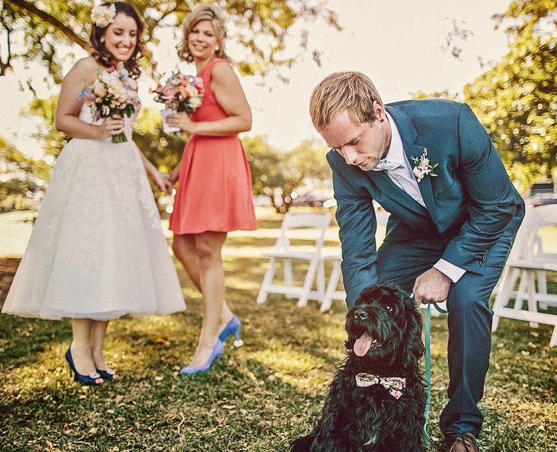 weddings with dogs