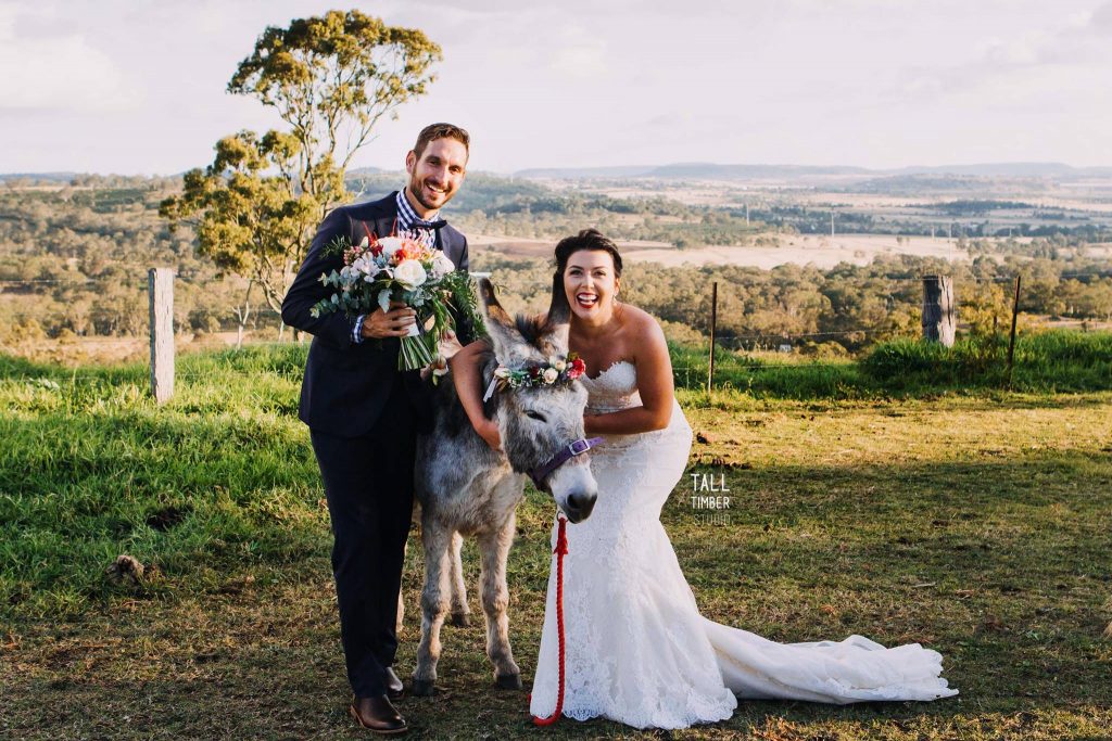 Donkey wedding photos
