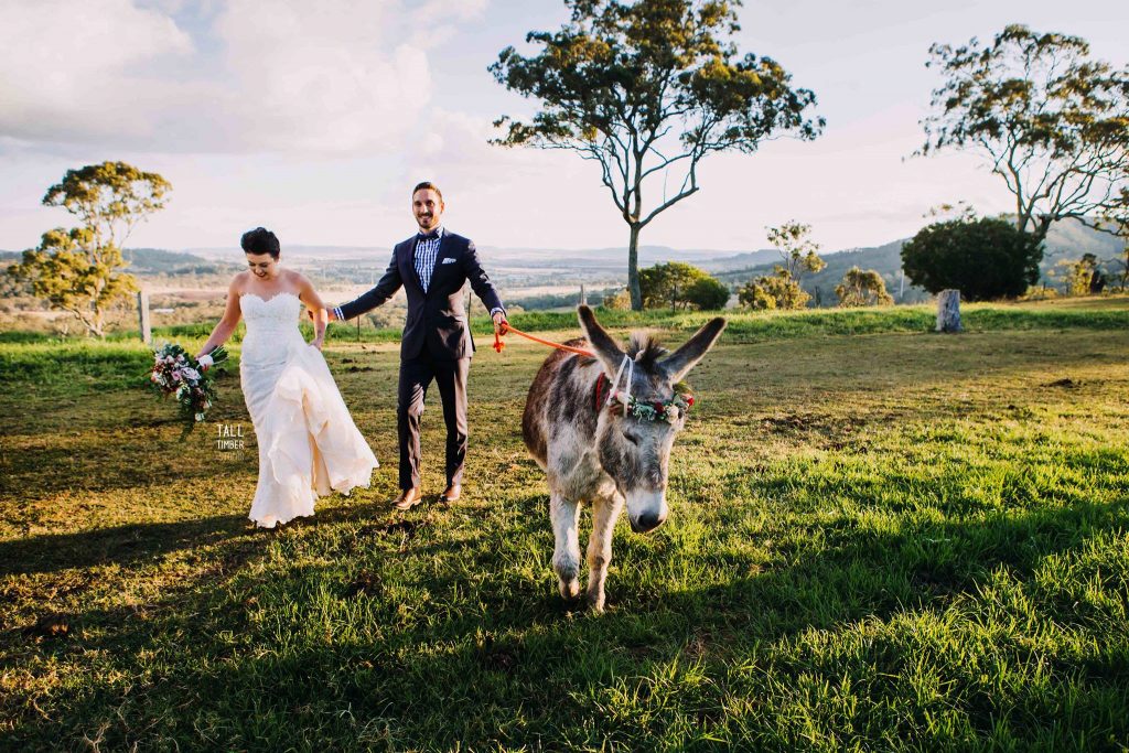 Preston Peak Weddings