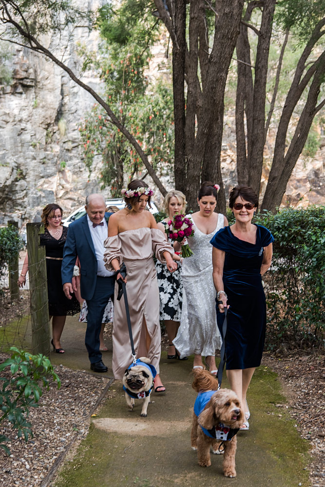 Wedding Ceremony Dogs