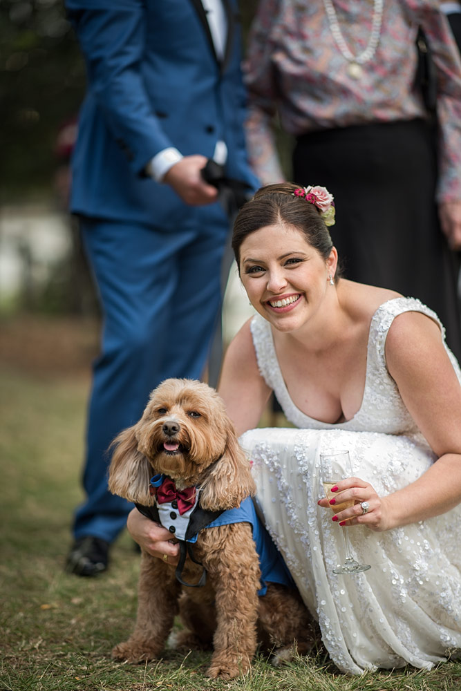 Wedding Dog tips