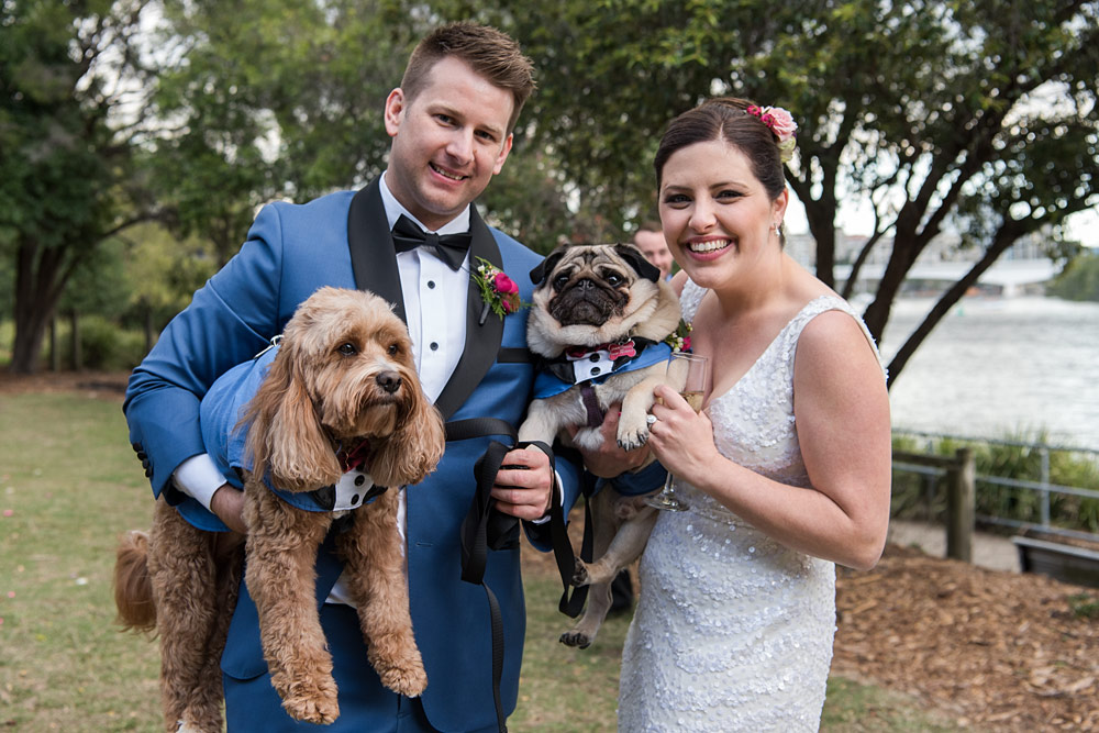 Wedding Dogs 