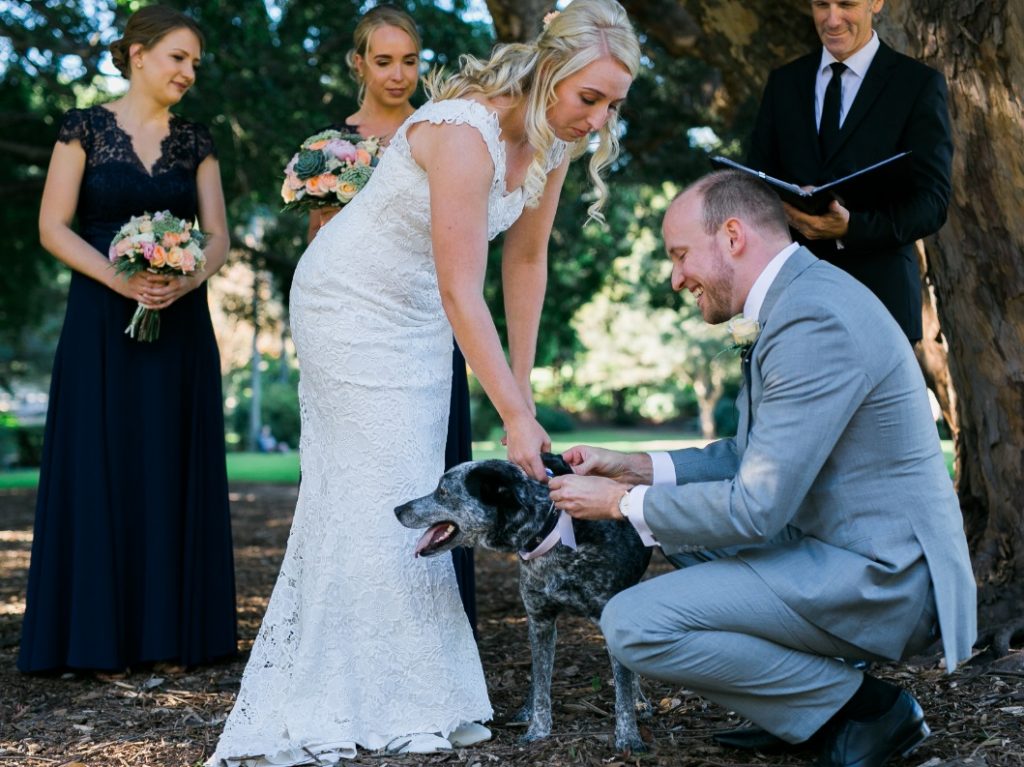 dog friendly wedding Brisbane