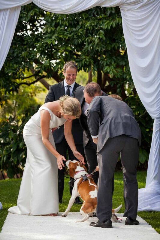 ideas for dogs at weddings