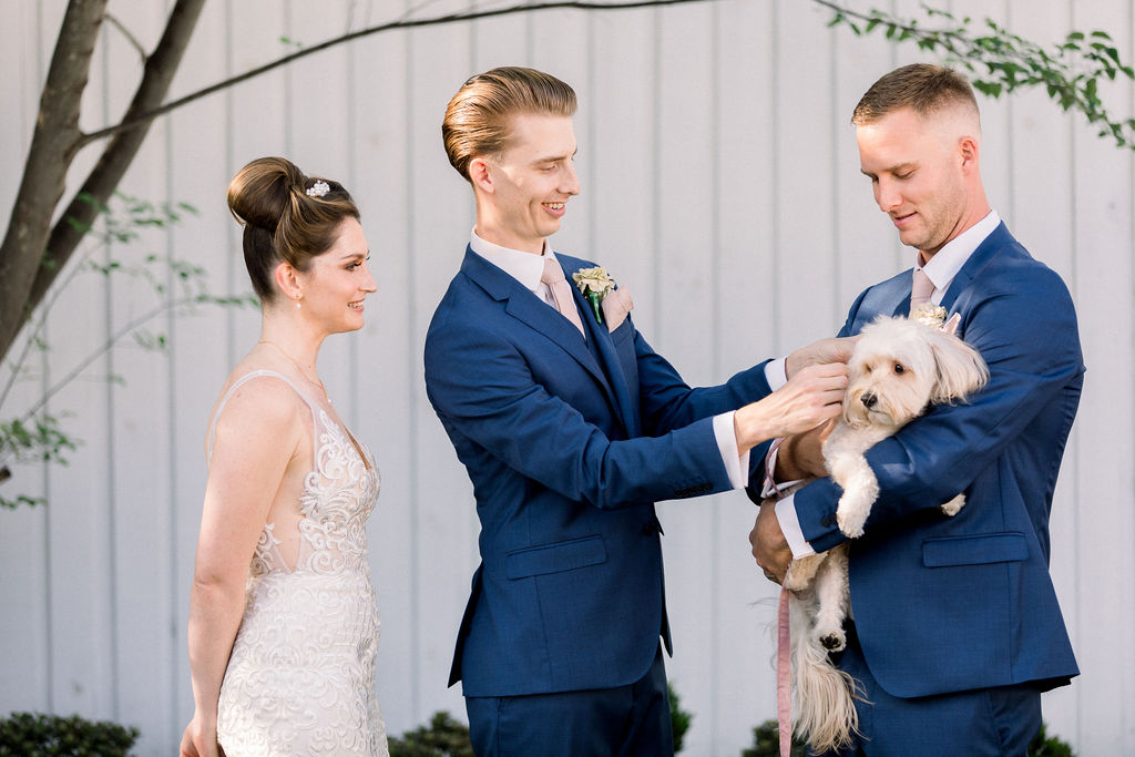 wedding dog ring bearer