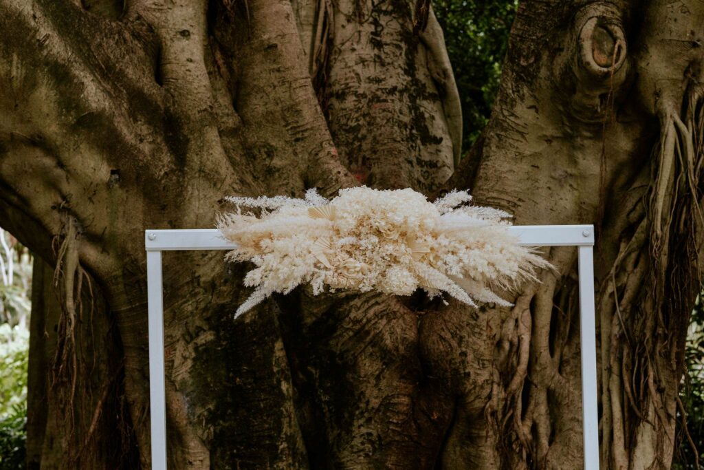 white wedding arch flowers Brisbane City Botanical gardens